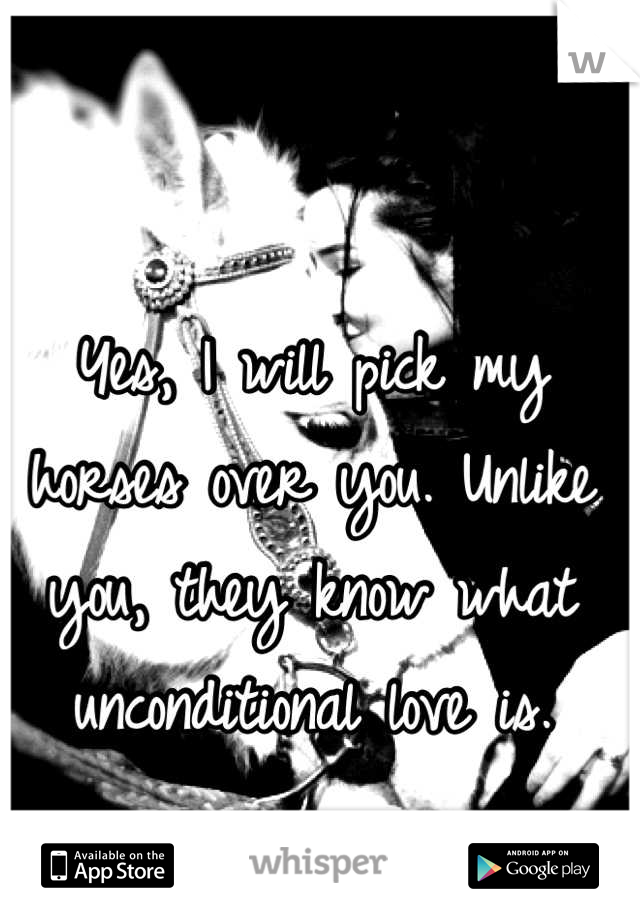 Yes, I will pick my horses over you. Unlike you, they know what unconditional love is.