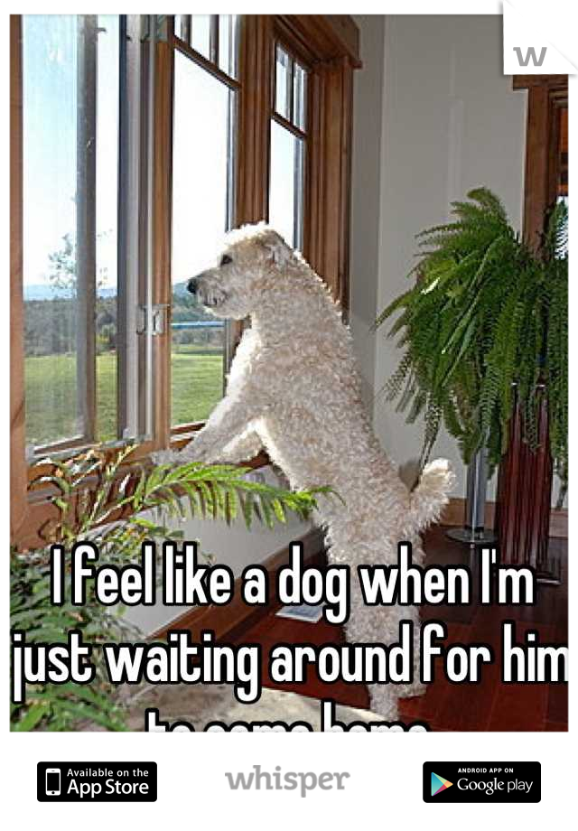 I feel like a dog when I'm just waiting around for him to come home.