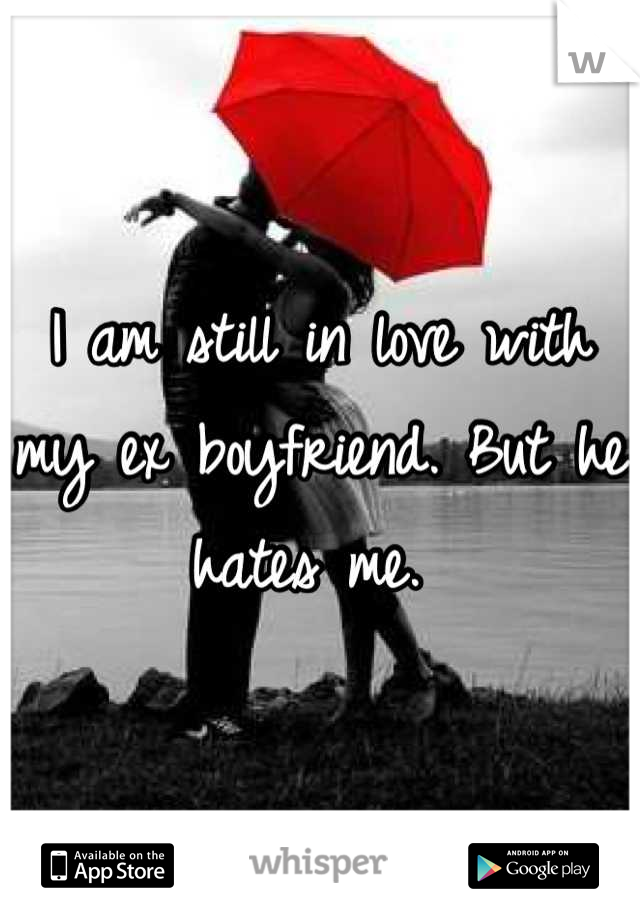 I am still in love with my ex boyfriend. But he hates me. 
