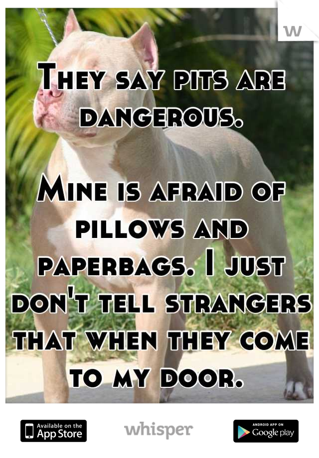 They say pits are dangerous.

Mine is afraid of pillows and paperbags. I just don't tell strangers that when they come to my door. 