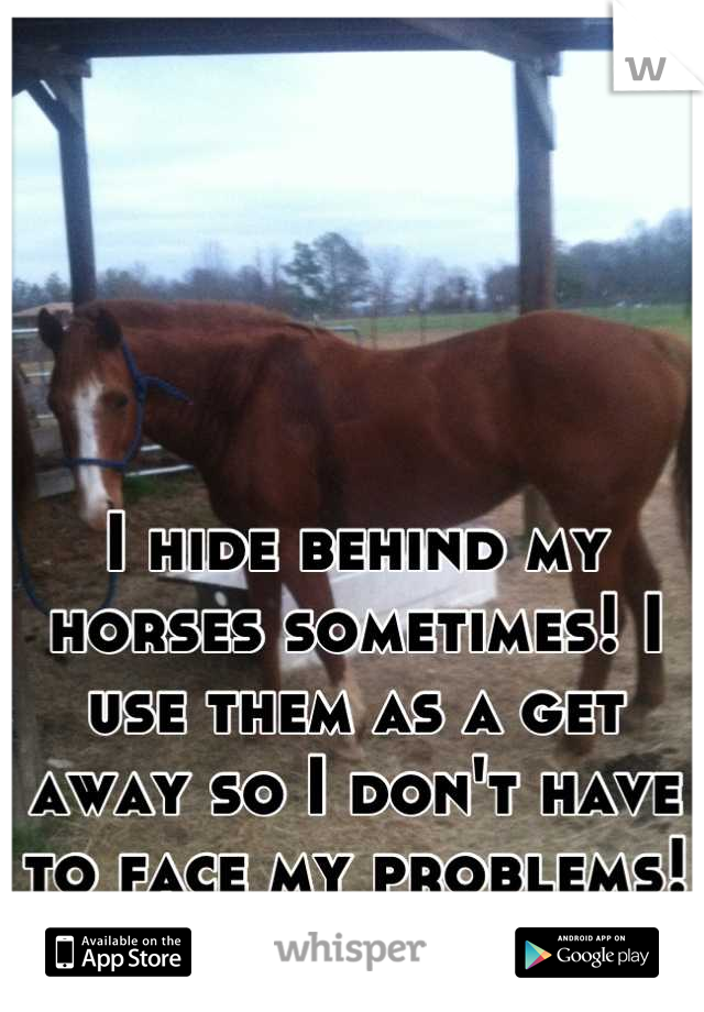 I hide behind my horses sometimes! I use them as a get away so I don't have to face my problems!