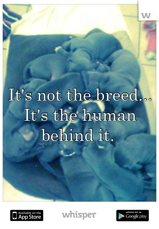 It's not the breed... It's the human behind it. 