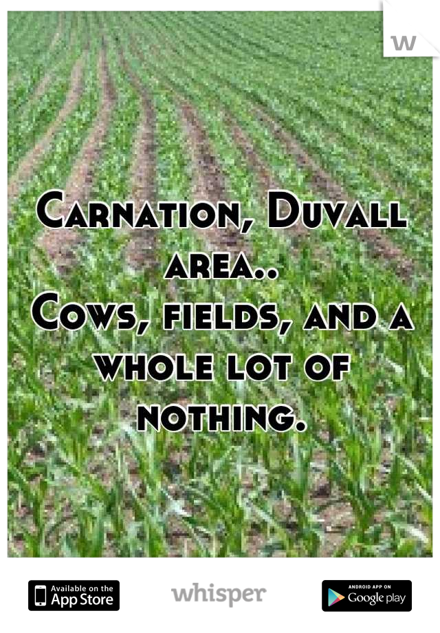 Carnation, Duvall area.. 
Cows, fields, and a whole lot of nothing.