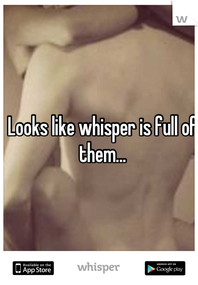 Looks like whisper is full of them...