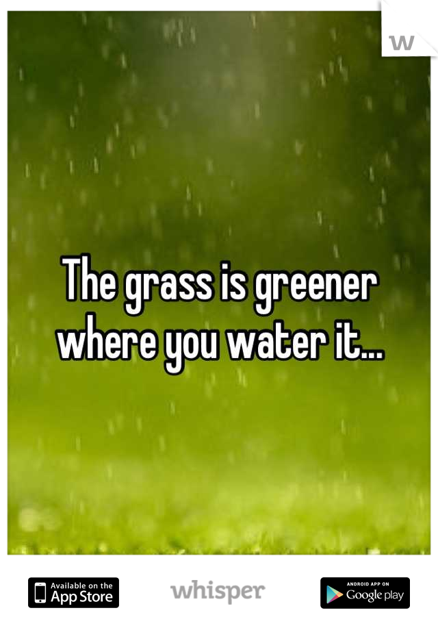 The grass is greener where you water it...