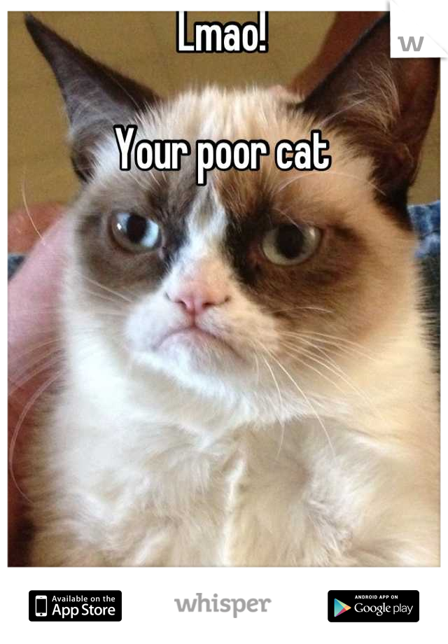 Lmao!

Your poor cat