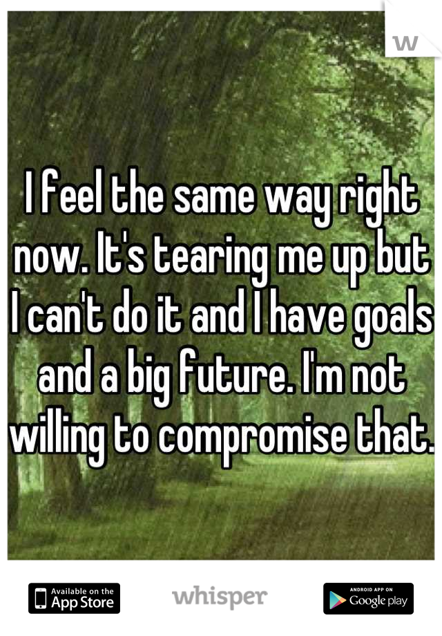 I feel the same way right now. It's tearing me up but I can't do it and I have goals and a big future. I'm not willing to compromise that. 