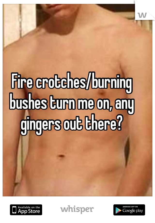 Fire crotches/burning bushes turn me on, any gingers out there?