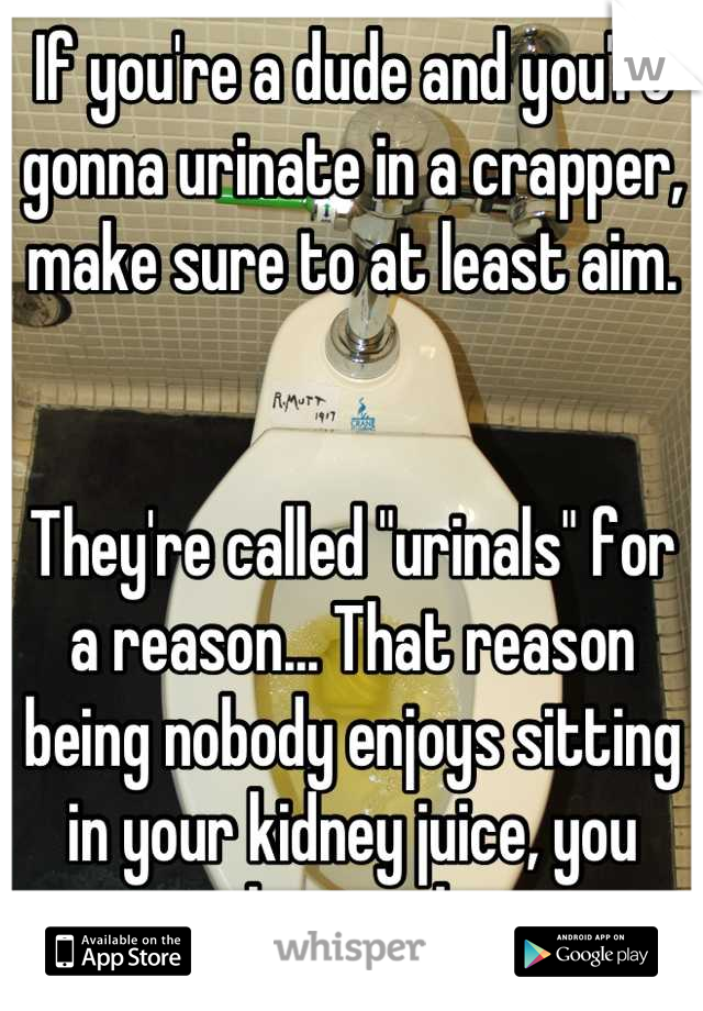 If you're a dude and you're gonna urinate in a crapper, make sure to at least aim.


They're called "urinals" for a reason... That reason being nobody enjoys sitting in your kidney juice, you bastard.