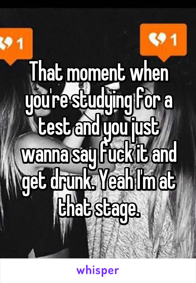 That moment when you're studying for a test and you just wanna say fuck it and get drunk. Yeah I'm at that stage.