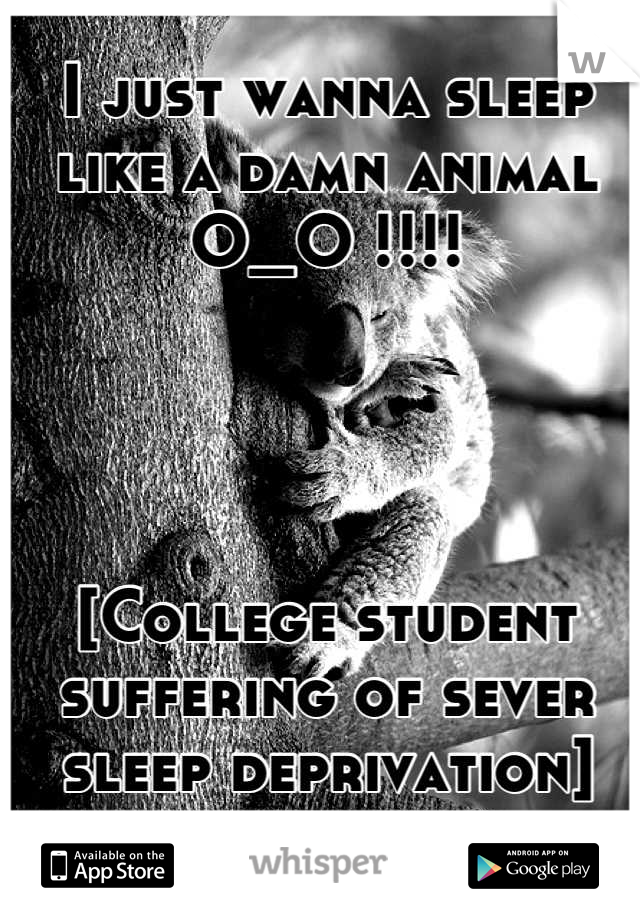 I just wanna sleep like a damn animal O_O !!!!




[College student suffering of sever sleep deprivation]