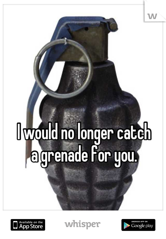 I would no longer catch 
a grenade for you.