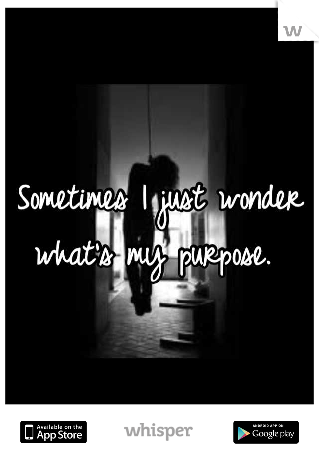 Sometimes I just wonder what's my purpose. 