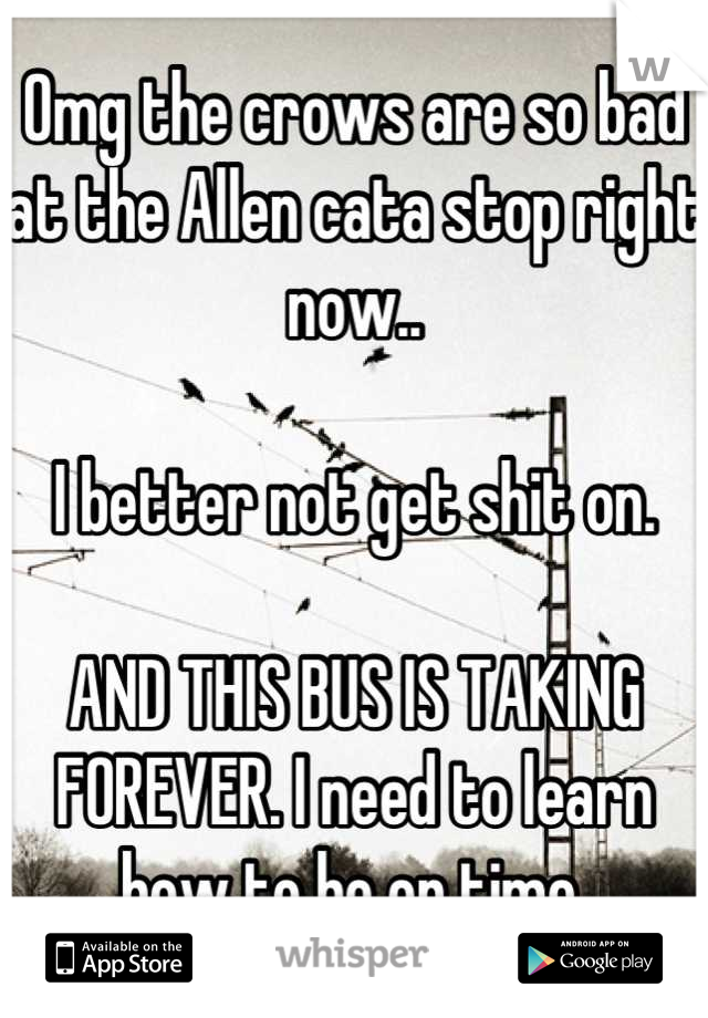 Omg the crows are so bad at the Allen cata stop right now..

I better not get shit on.

AND THIS BUS IS TAKING FOREVER. I need to learn how to be on time.