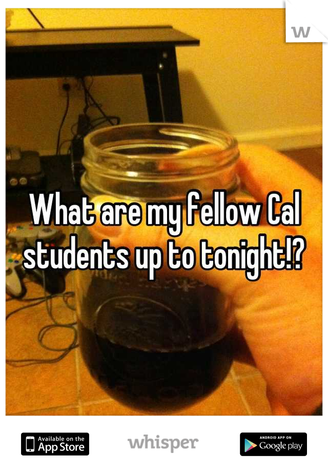 What are my fellow Cal students up to tonight!?