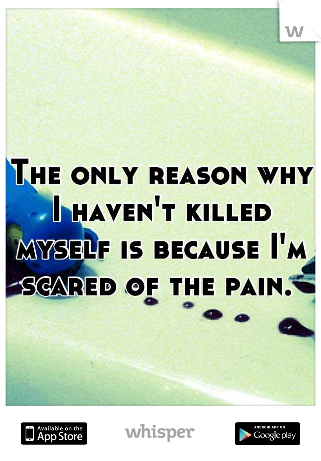 The only reason why I haven't killed myself is because I'm scared of the pain. 