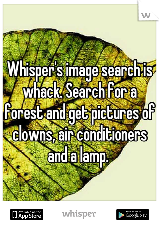 Whisper's image search is whack. Search for a forest and get pictures of clowns, air conditioners and a lamp. 