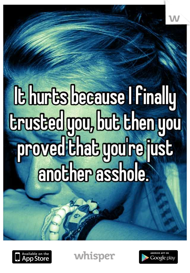 It hurts because I finally trusted you, but then you proved that you're just another asshole. 