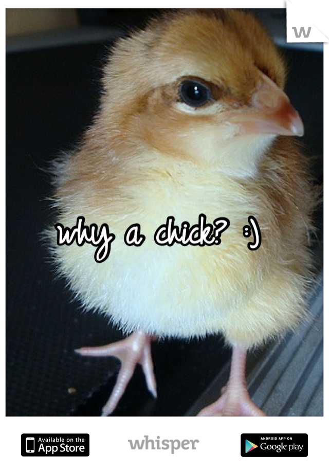 why a chick? :) 