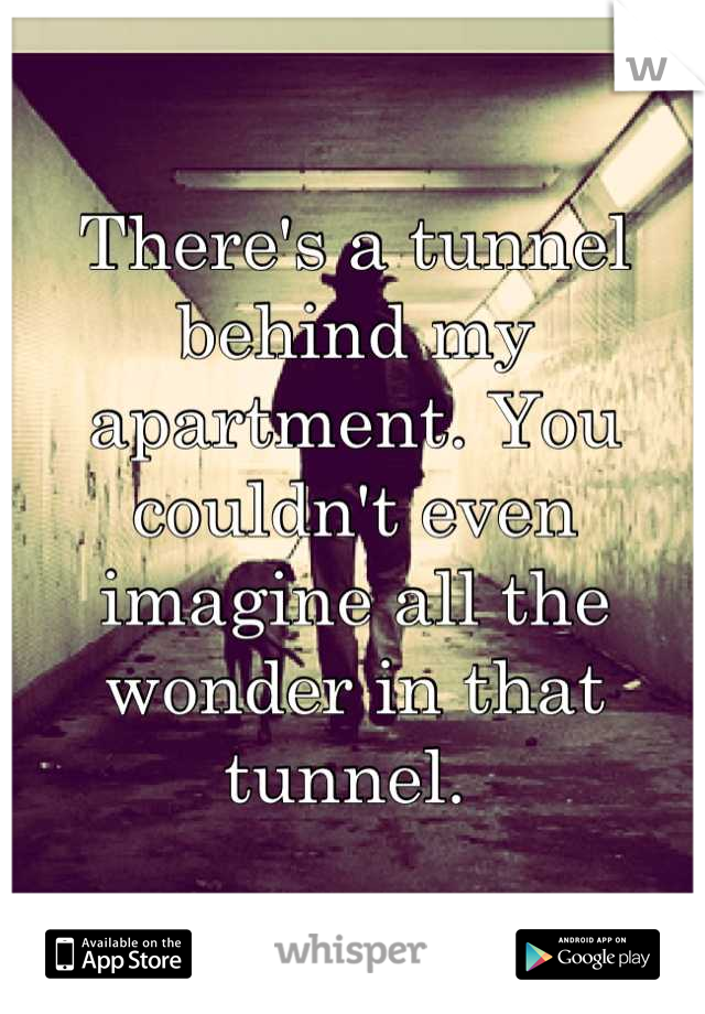 There's a tunnel behind my apartment. You couldn't even imagine all the wonder in that tunnel. 