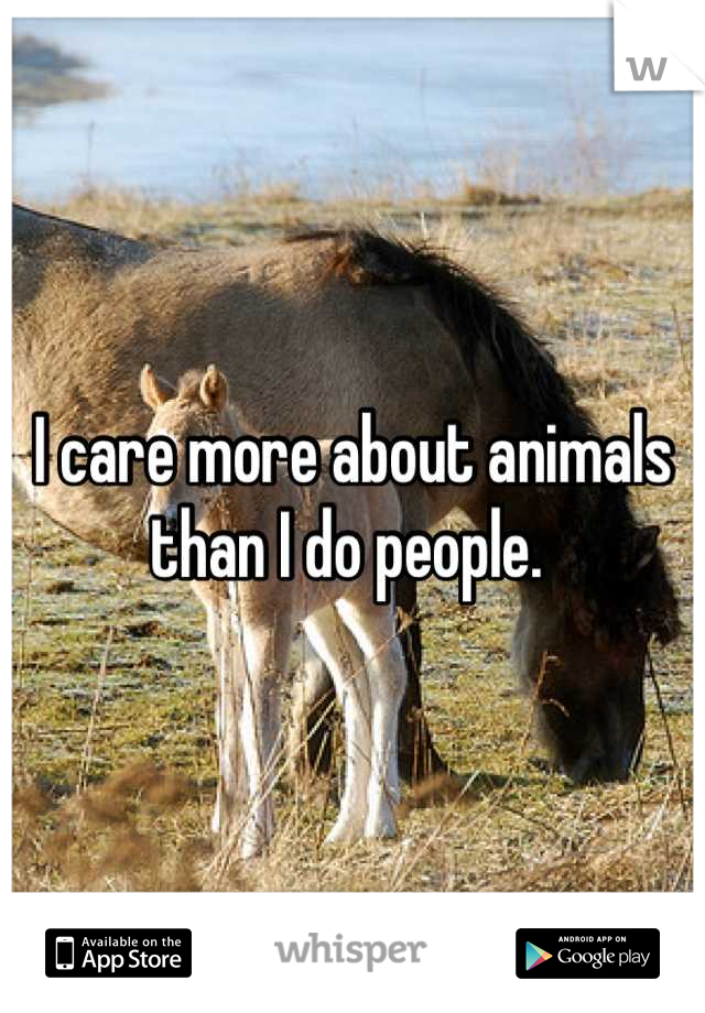 I care more about animals than I do people. 