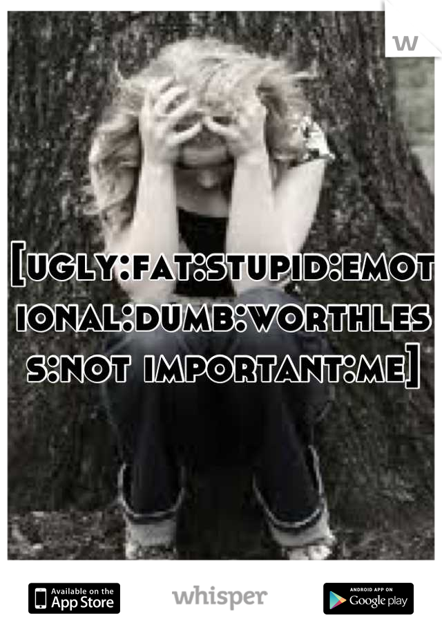 [ugly:fat:stupid:emotional:dumb:worthless:not important:me]
