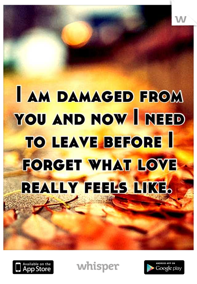 I am damaged from you and now I need to leave before I forget what love really feels like. 