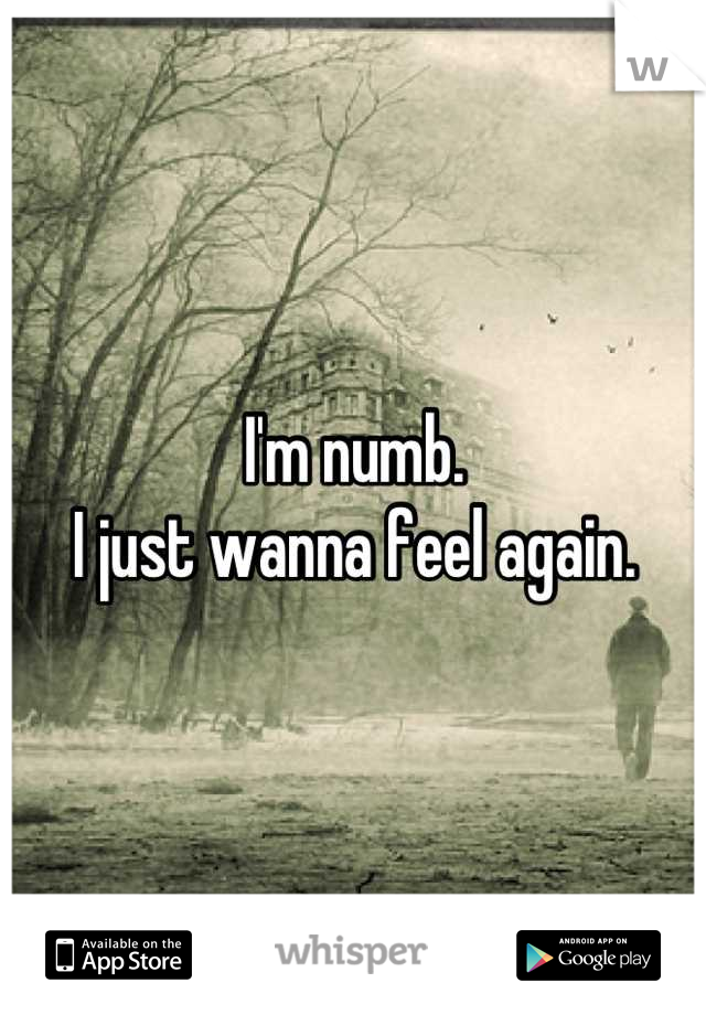I'm numb.
I just wanna feel again.
