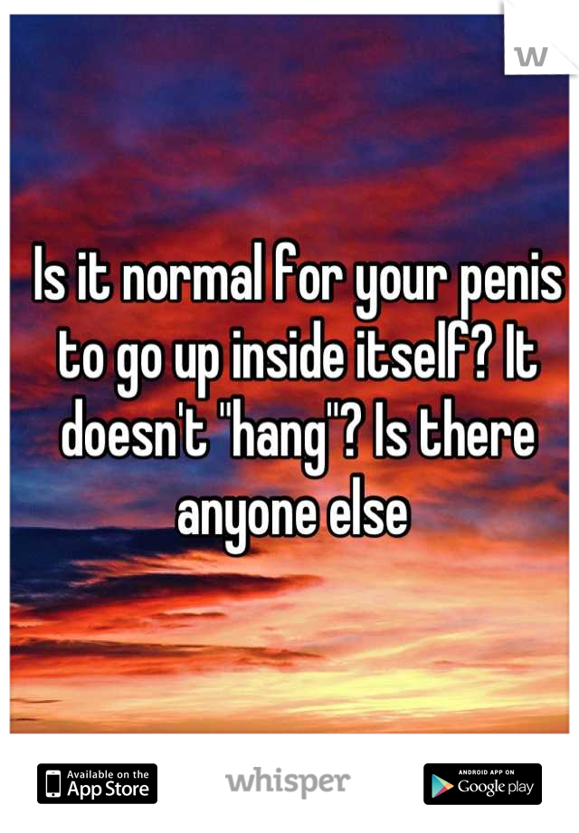 Is it normal for your penis to go up inside itself? It doesn't "hang"? Is there anyone else 