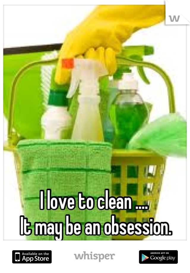 I love to clean .... 
 It may be an obsession.