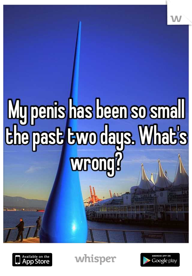 My penis has been so small the past two days. What's wrong?