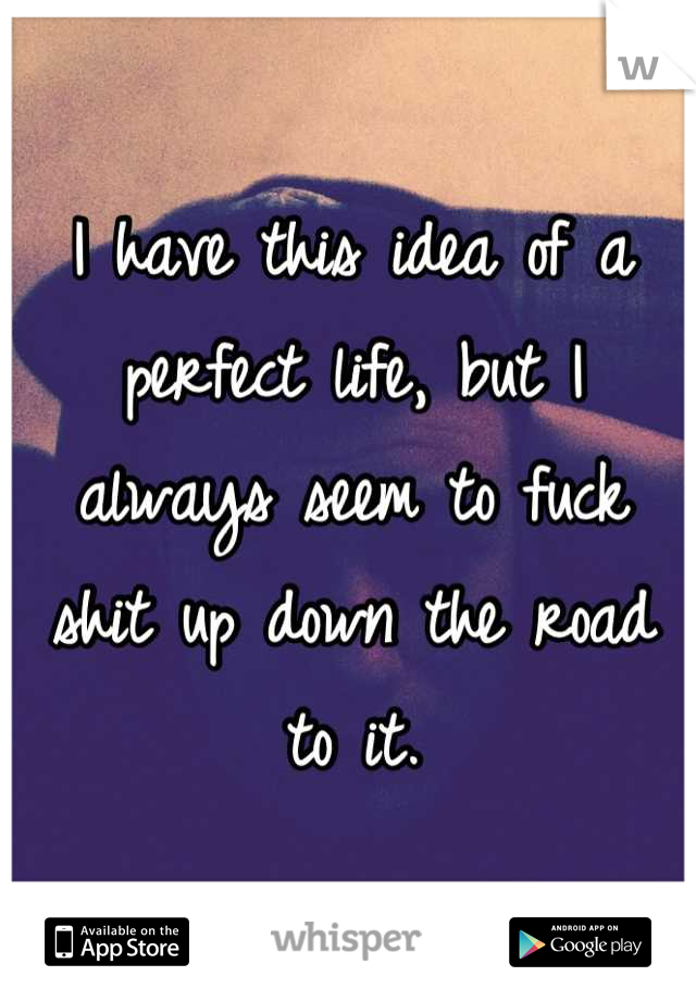 I have this idea of a perfect life, but I always seem to fuck shit up down the road to it.