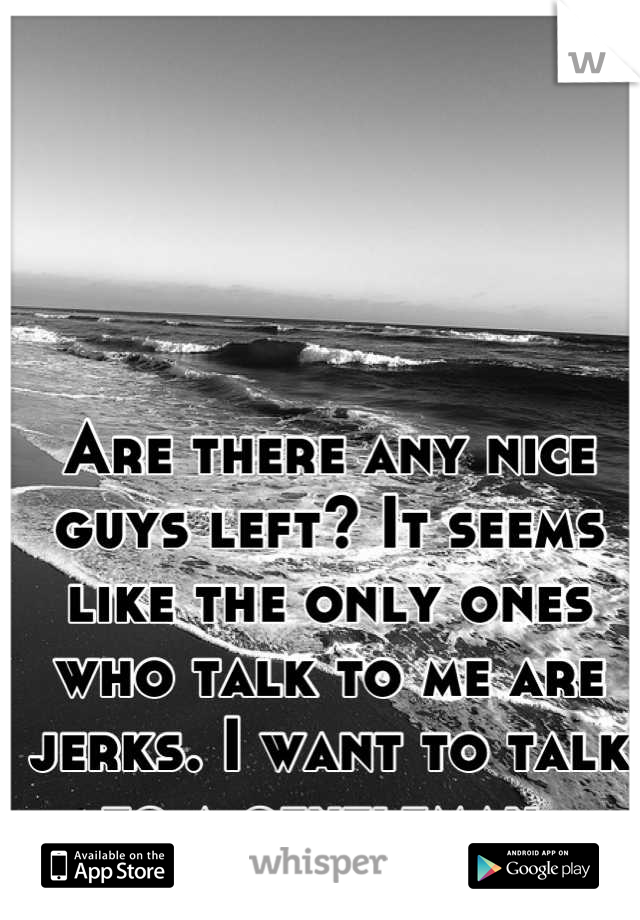 Are there any nice guys left? It seems like the only ones who talk to me are jerks. I want to talk to a gentleman.