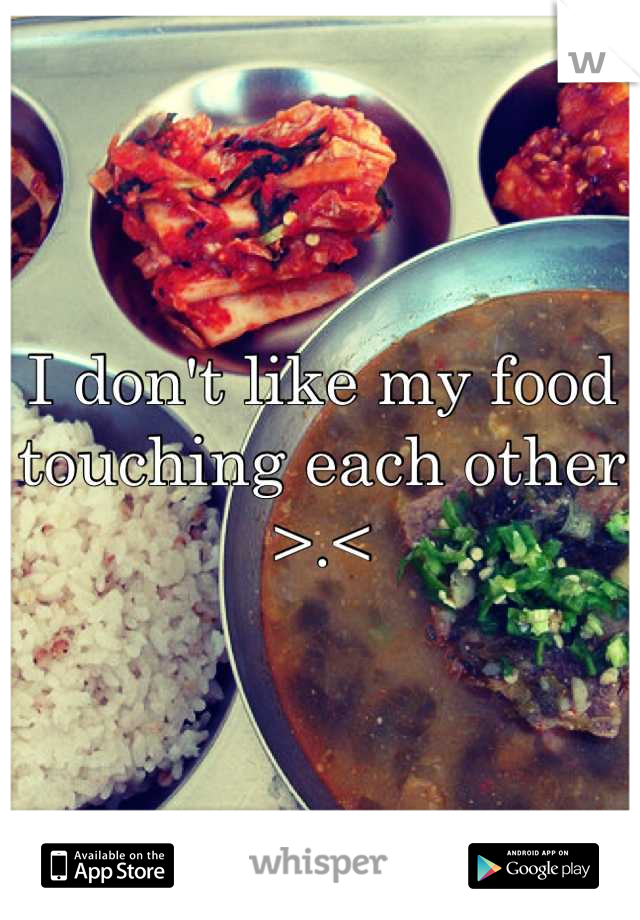I don't like my food touching each other >.<