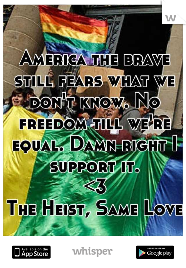 America the brave still fears what we don't know. No freedom till we're equal. Damn right I support it.  
<3 
The Heist, Same Love