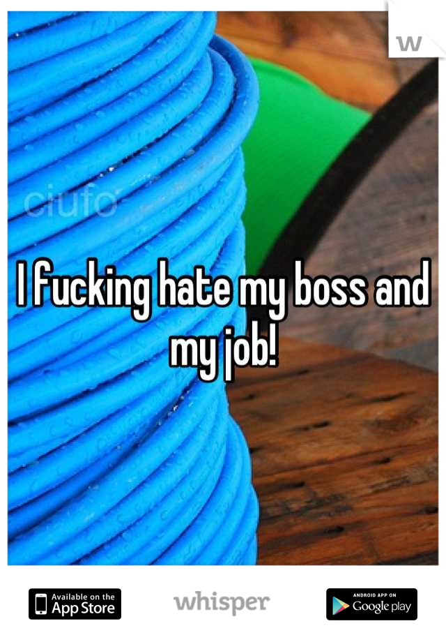 I fucking hate my boss and my job!