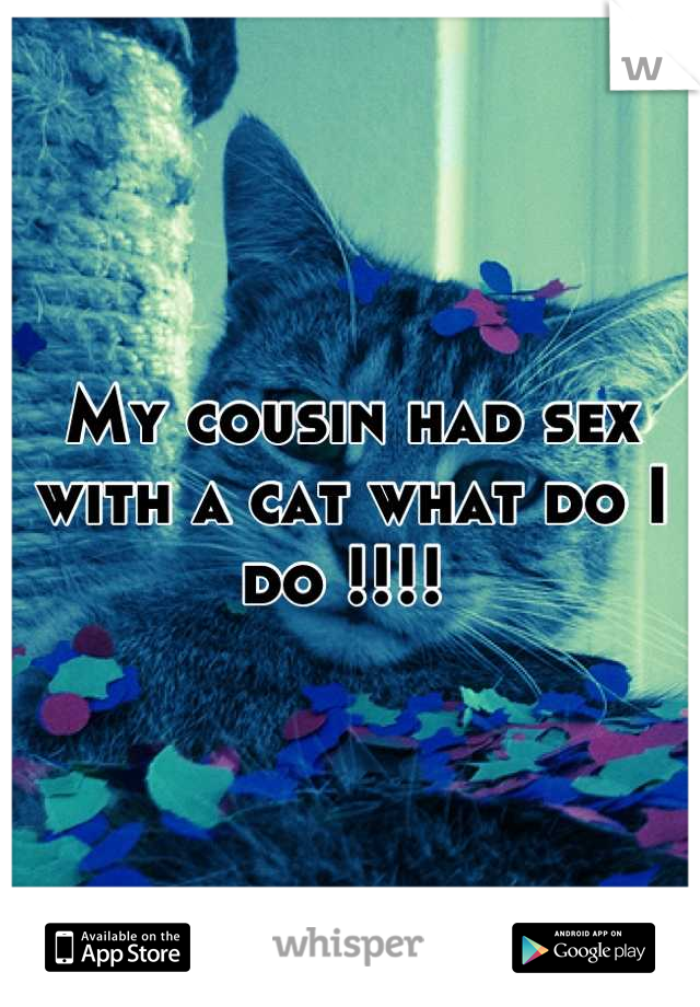 My cousin had sex with a cat what do I do !!!! 