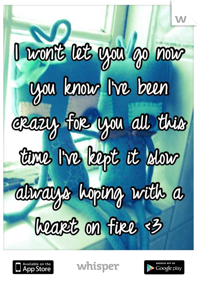 I won't let you go now you know I've been  crazy for you all this time I've kept it slow always hoping with a heart on fire <3