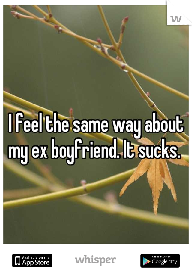 I feel the same way about my ex boyfriend. It sucks. 