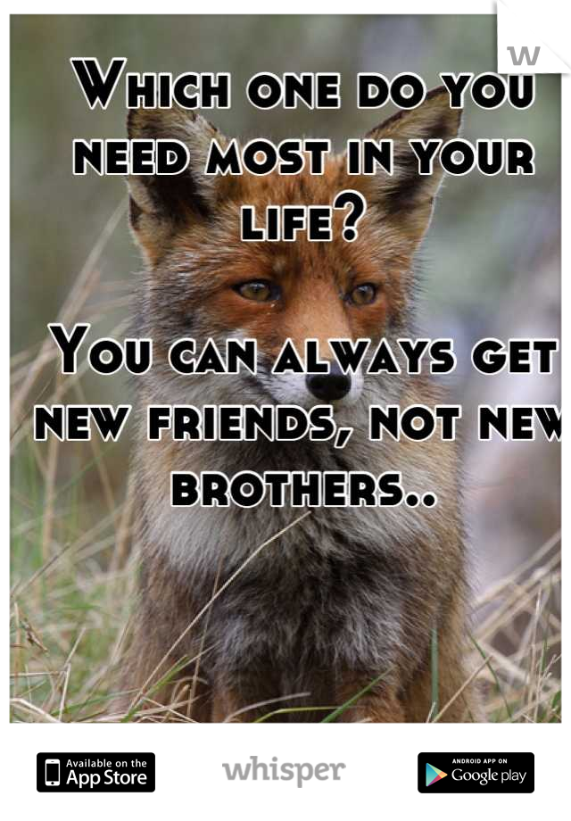 Which one do you need most in your life?

You can always get new friends, not new brothers..