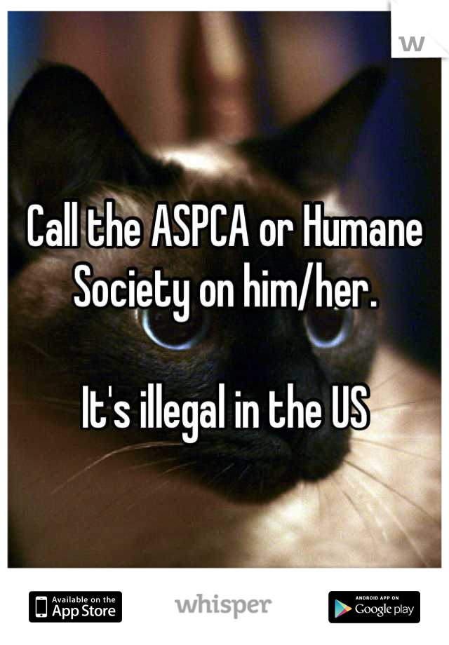 Call the ASPCA or Humane Society on him/her.

It's illegal in the US
