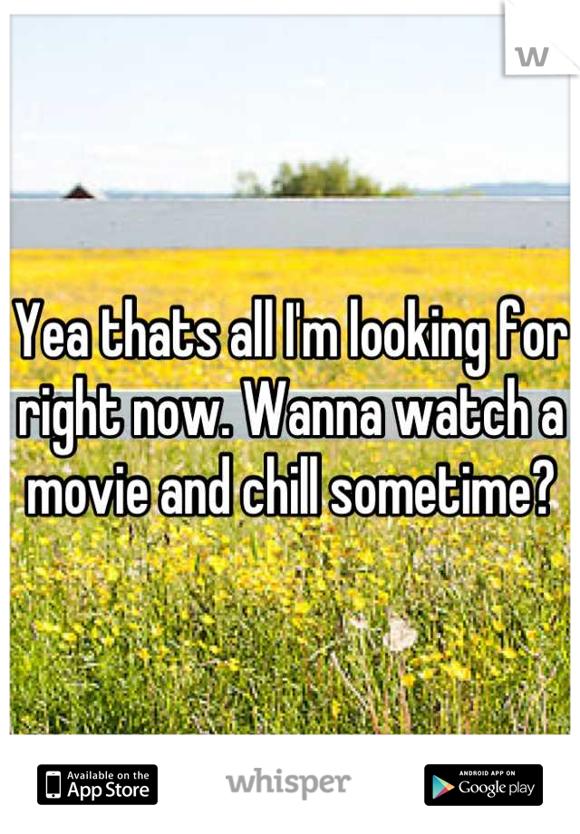 Yea thats all I'm looking for right now. Wanna watch a movie and chill sometime?