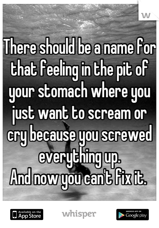 There should be a name for that feeling in the pit of your stomach where you just want to scream or cry because you screwed everything up. 
And now you can't fix it. 