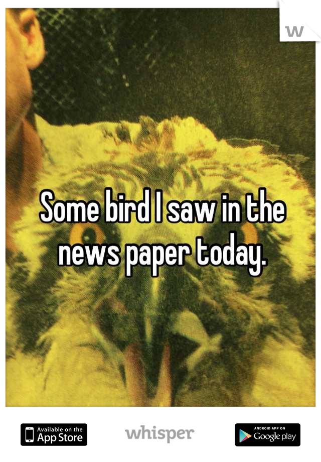 Some bird I saw in the news paper today.