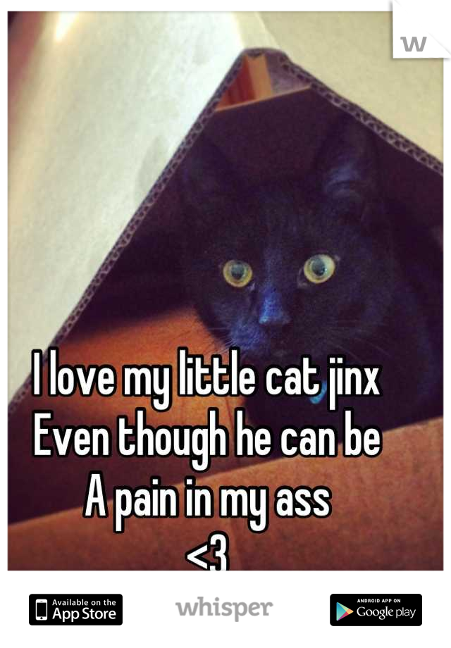 I love my little cat jinx 
Even though he can be 
A pain in my ass
<3