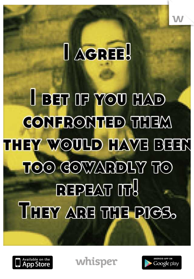 I agree! 

I bet if you had confronted them they would have been too cowardly to repeat it!
They are the pigs.