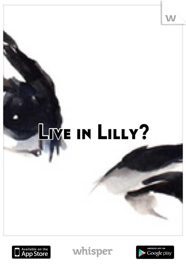 Live in Lilly?