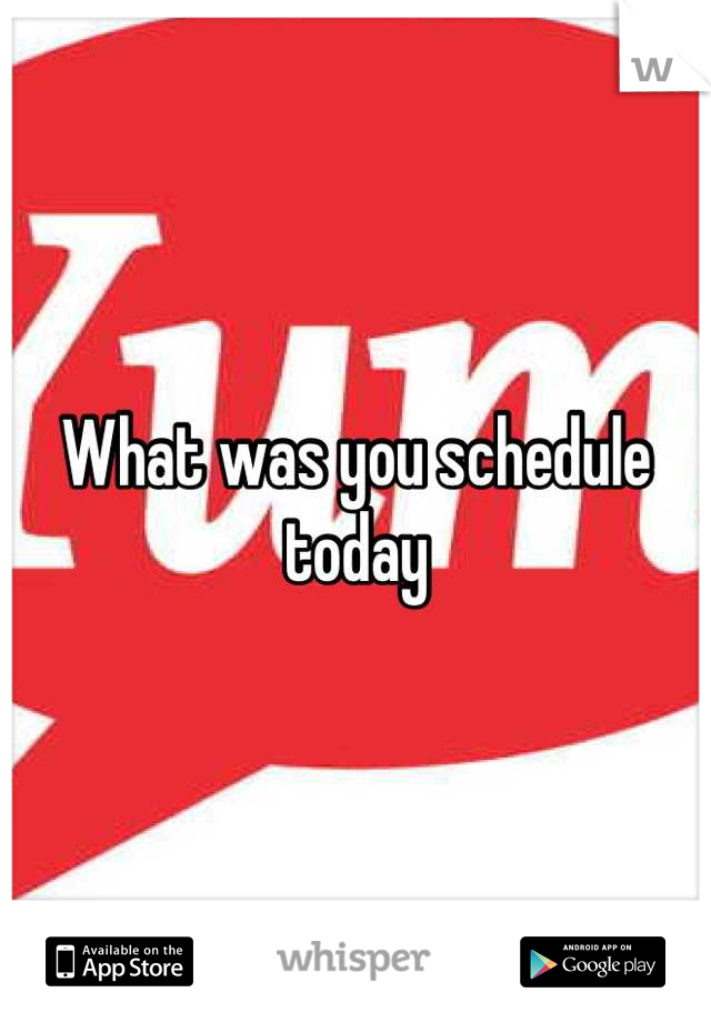 What was you schedule today