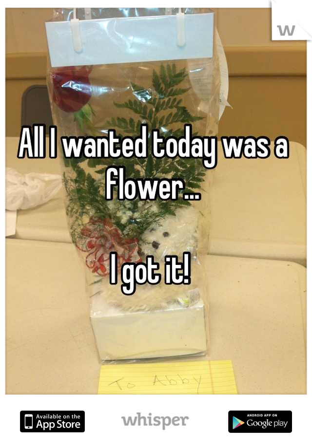 All I wanted today was a flower... 

I got it! 