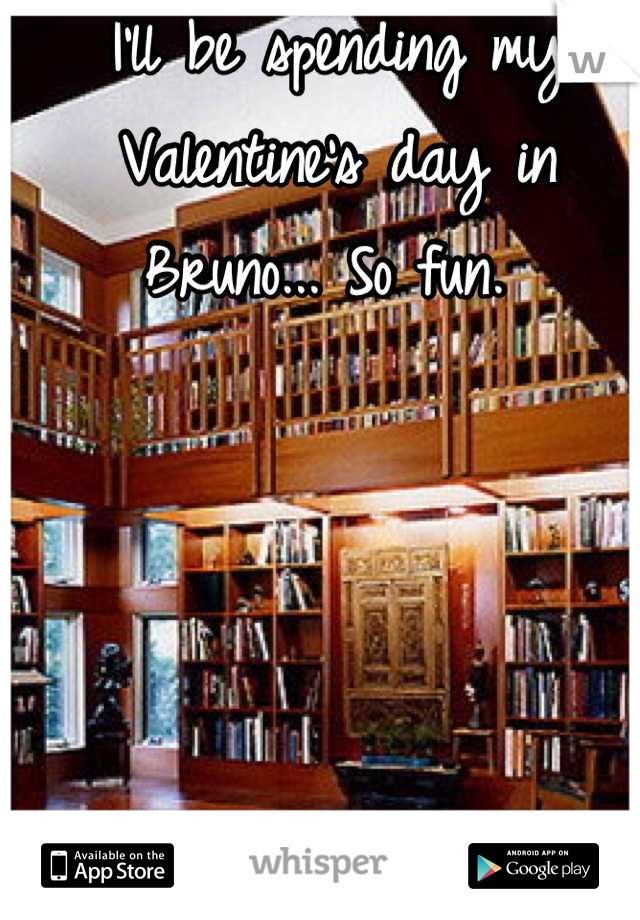 I'll be spending my Valentine's day in Bruno... So fun. 